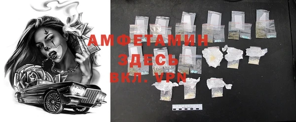 мдпв Протвино