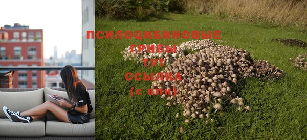 кокаин VHQ Магас