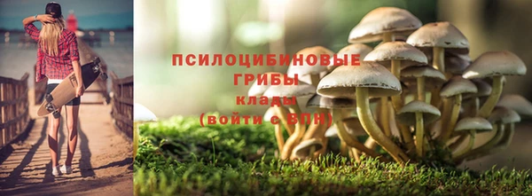 индика Михайловка